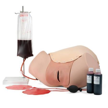 3B SCIENTIFIC Postpartum Hemorrhage Trainer - PPH Trainer P97 1021568